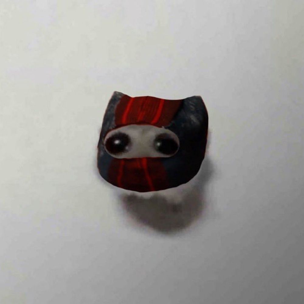 clanky hammie