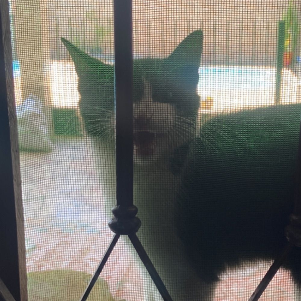 i!
