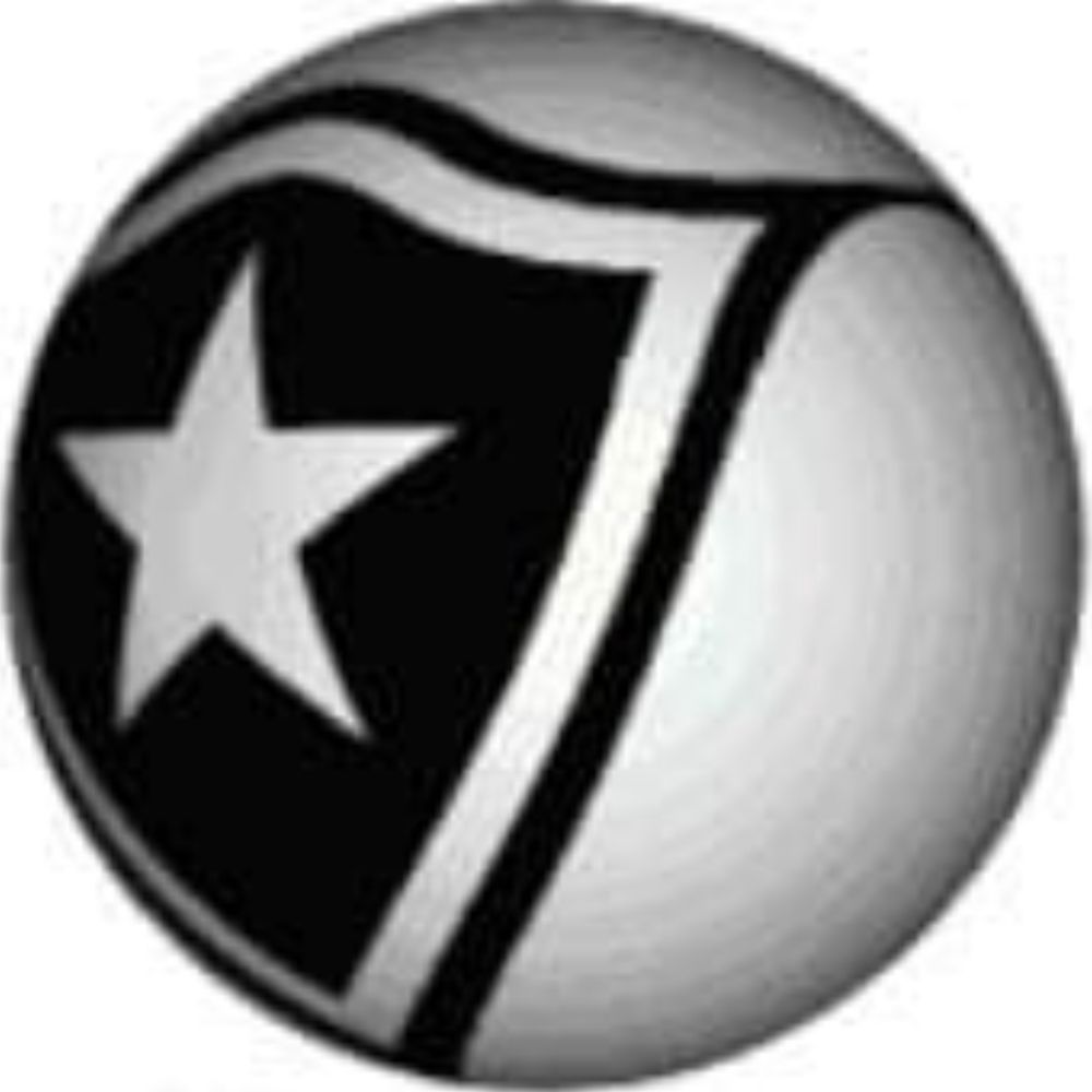 BotafogoDePrimeira