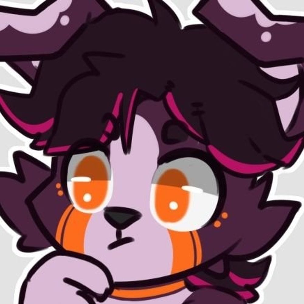 Jax Collie