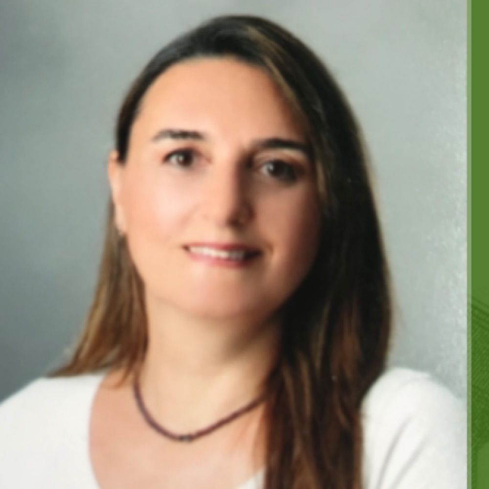 Ayşegül