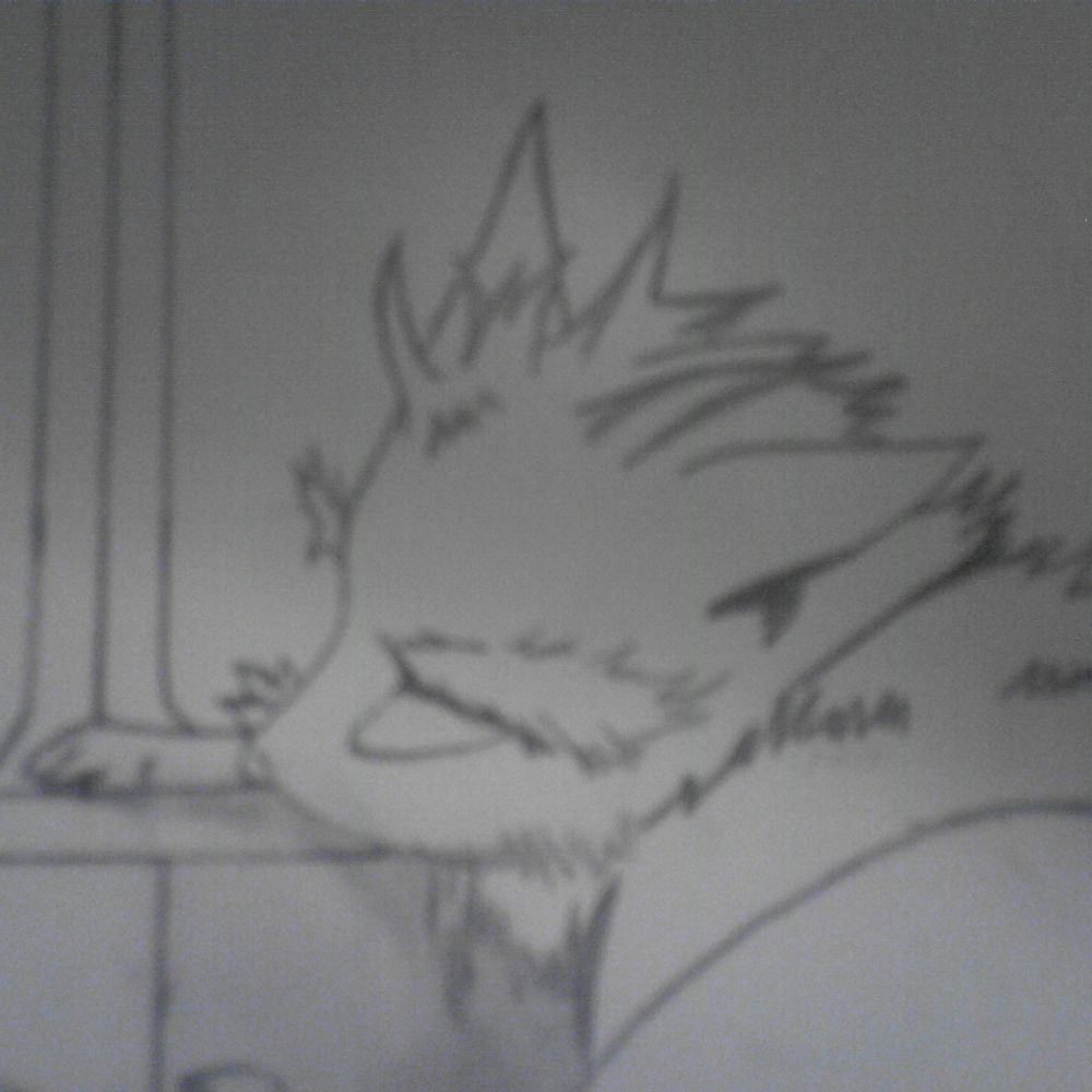 Silvie