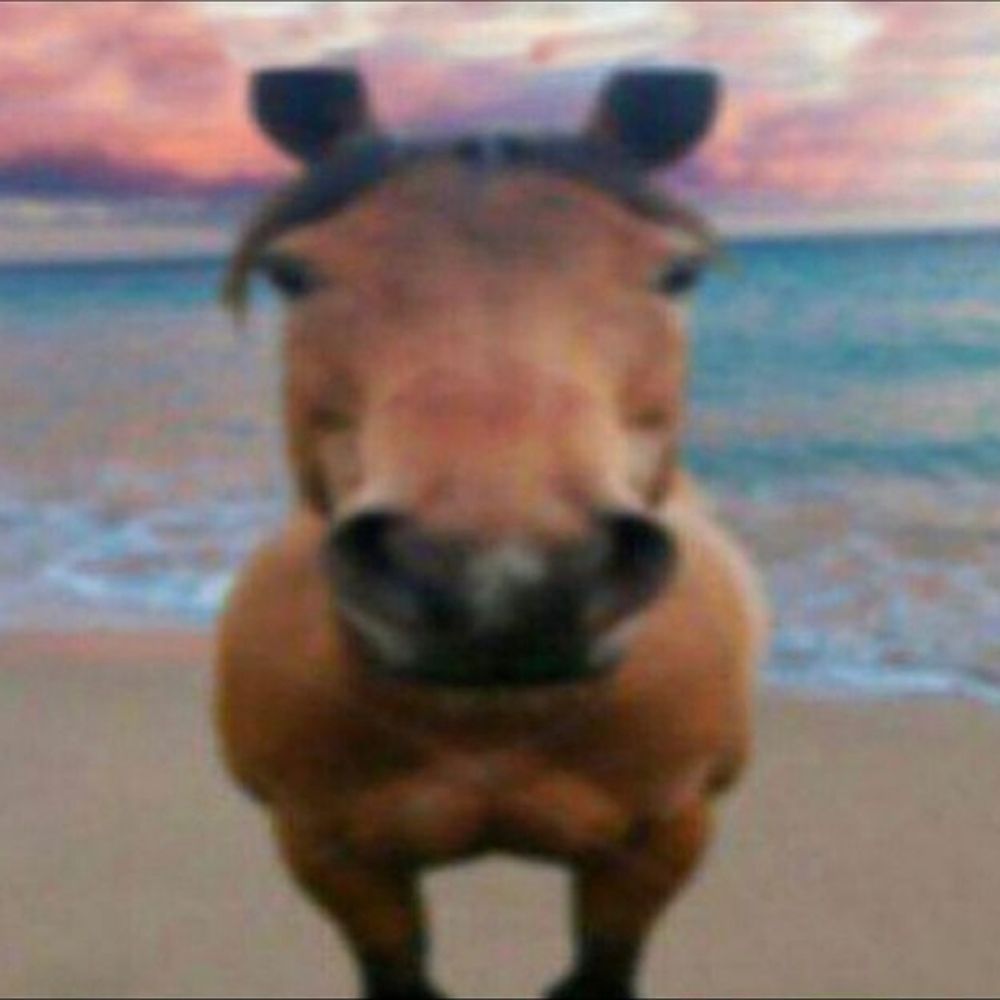 🐄🐄🐄🐄🐄🐄🐄🐄🐄🐄🐄🐄🐄🐄🐄🐄🐄🐄🐄🐄🐄🐄🐄🐄🐄