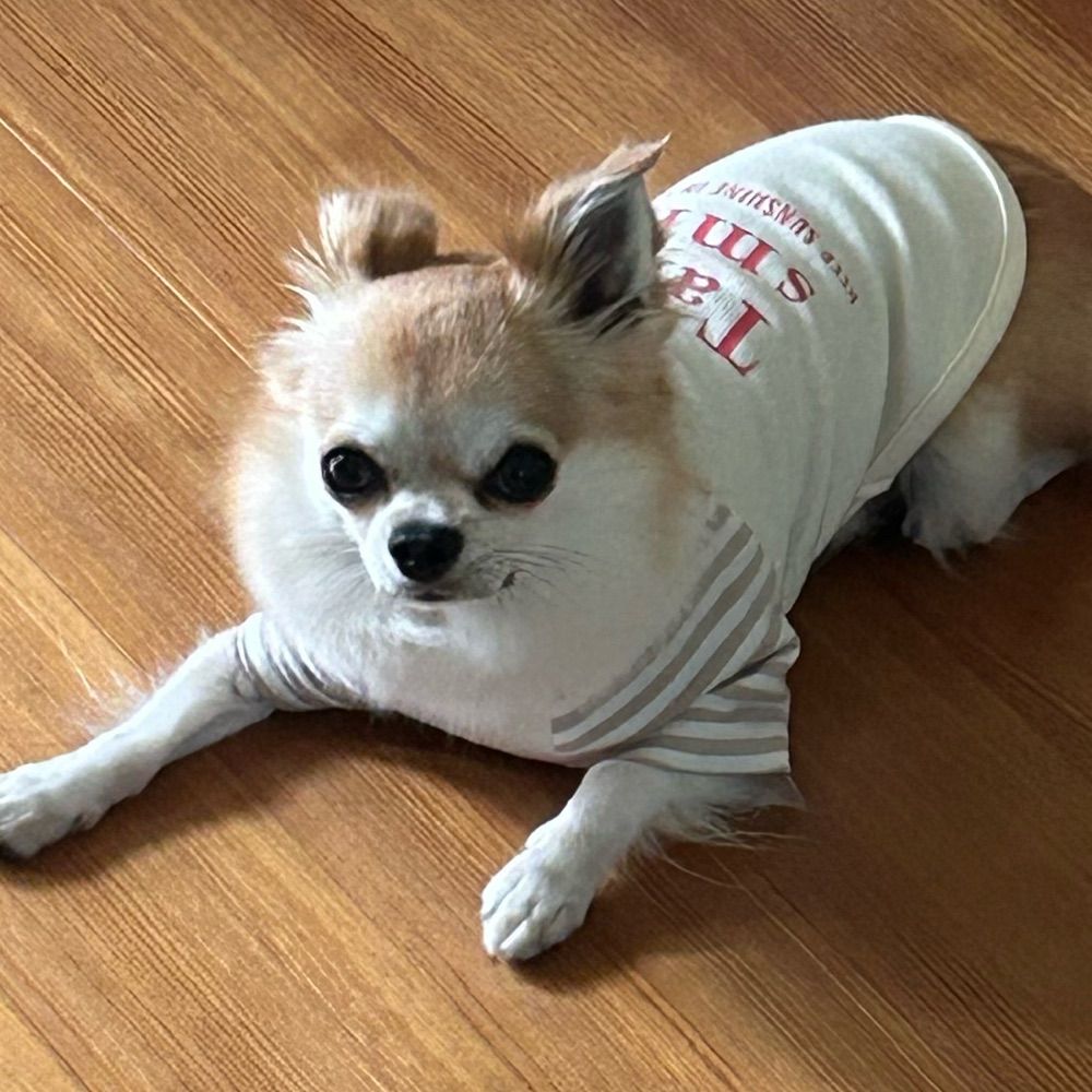 あさひ