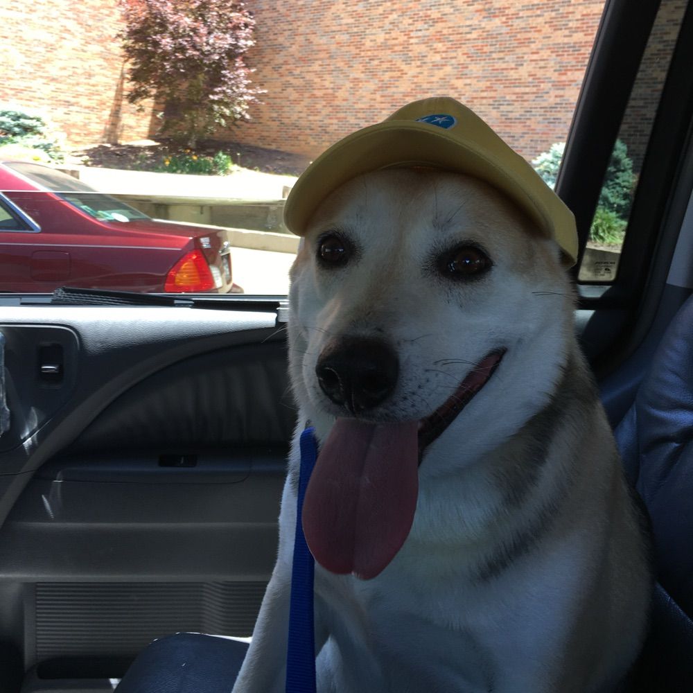 Deacon the Dire Wolf
