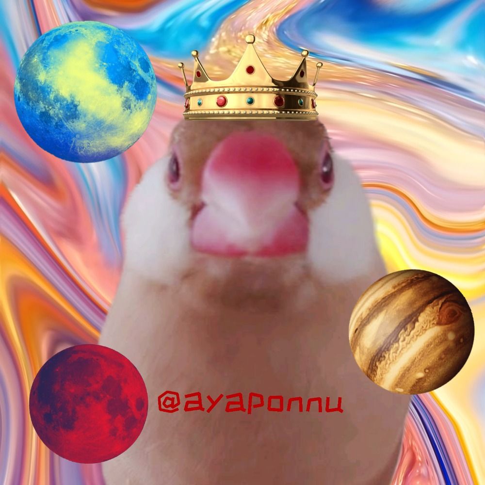 ｱﾔポﾝﾇ𓅪𓅰𓅫𓅪𓅫𓅪𓅫𓅫𓅫   