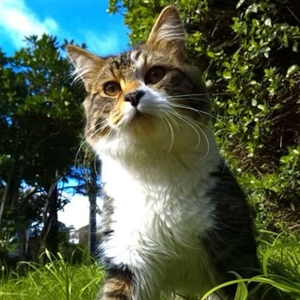Jay 🐦📚🐈🧘🏻‍♂️🌿🌏🏳️‍🌈🏳️‍⚧️🤍🕊️