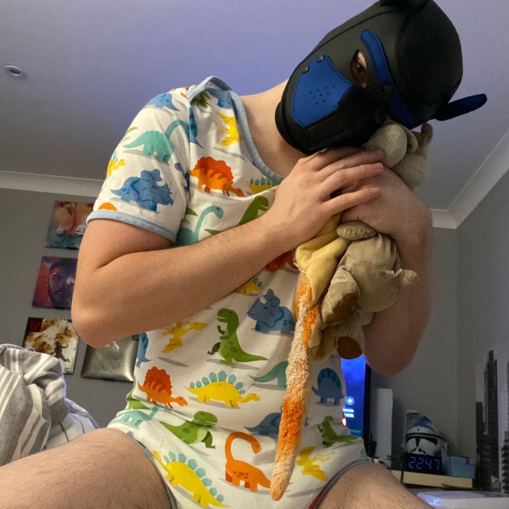 🐻 The_baby_bear 🦖