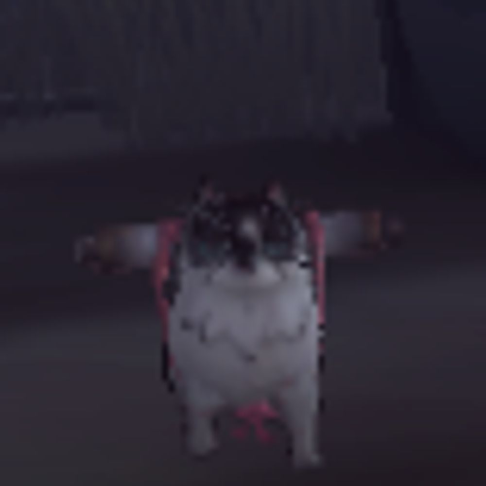 boof