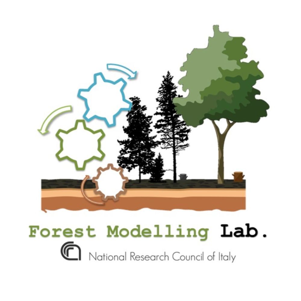 Forest Modelling Laboratory