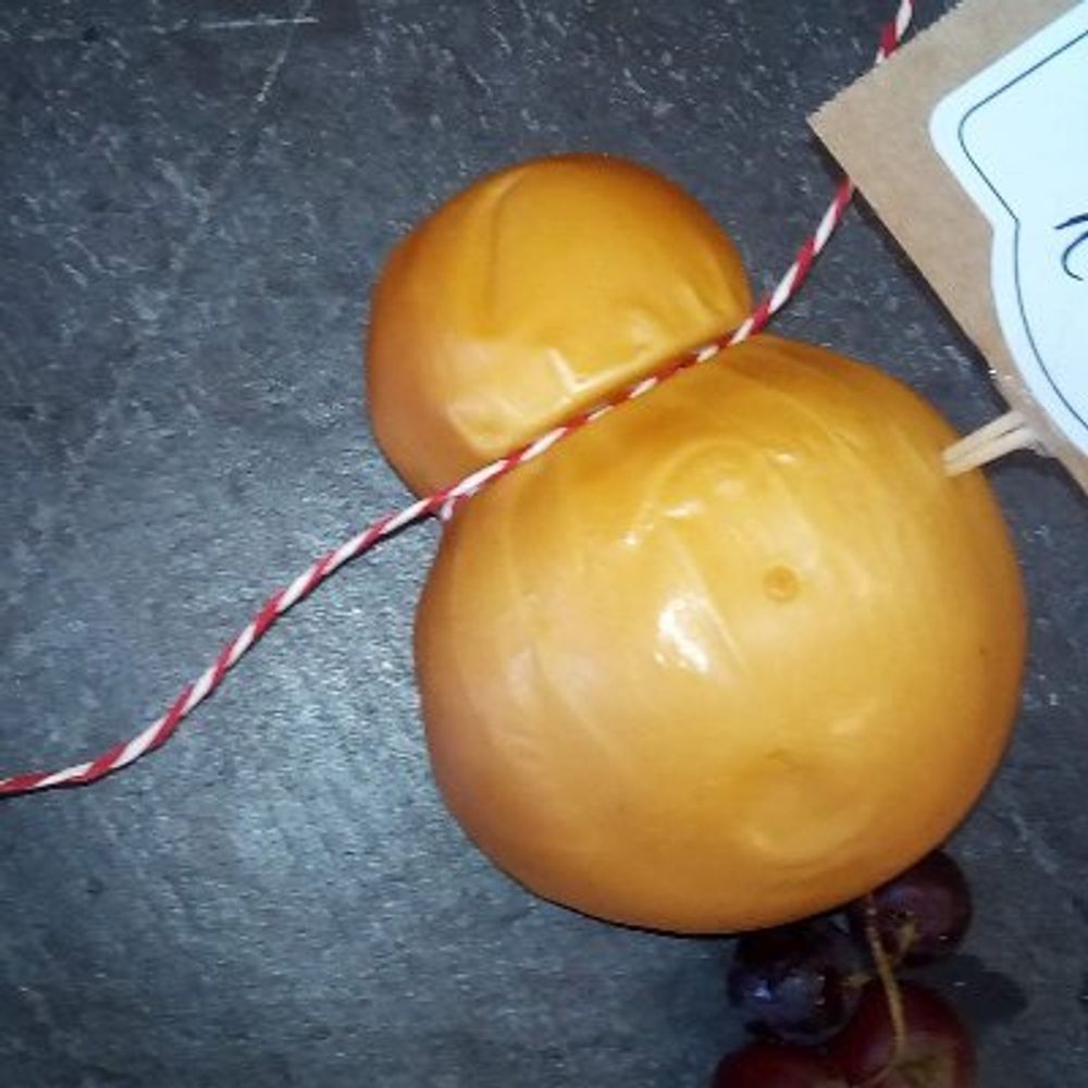 RNA & Ribosome Homeostasis Lab @École Polytechnique / @CNRS