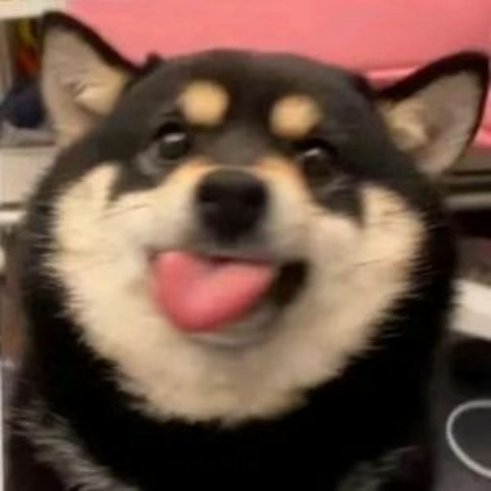 猎手