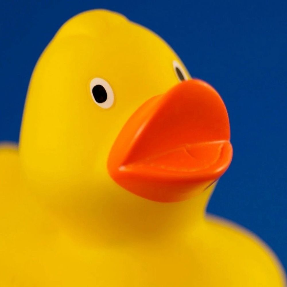 Profile picture murducky.bsky.social