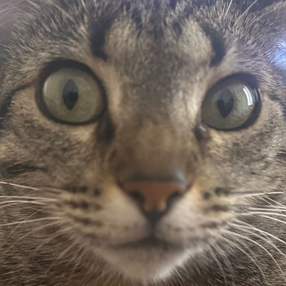 marcos 