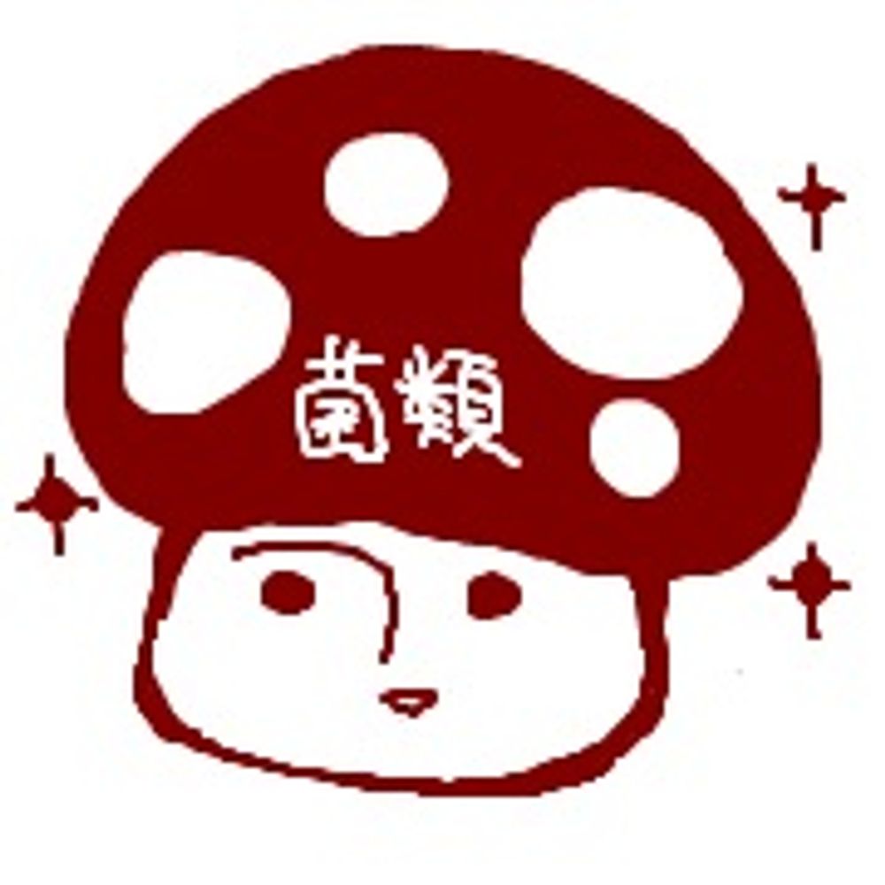 木乃ひのき