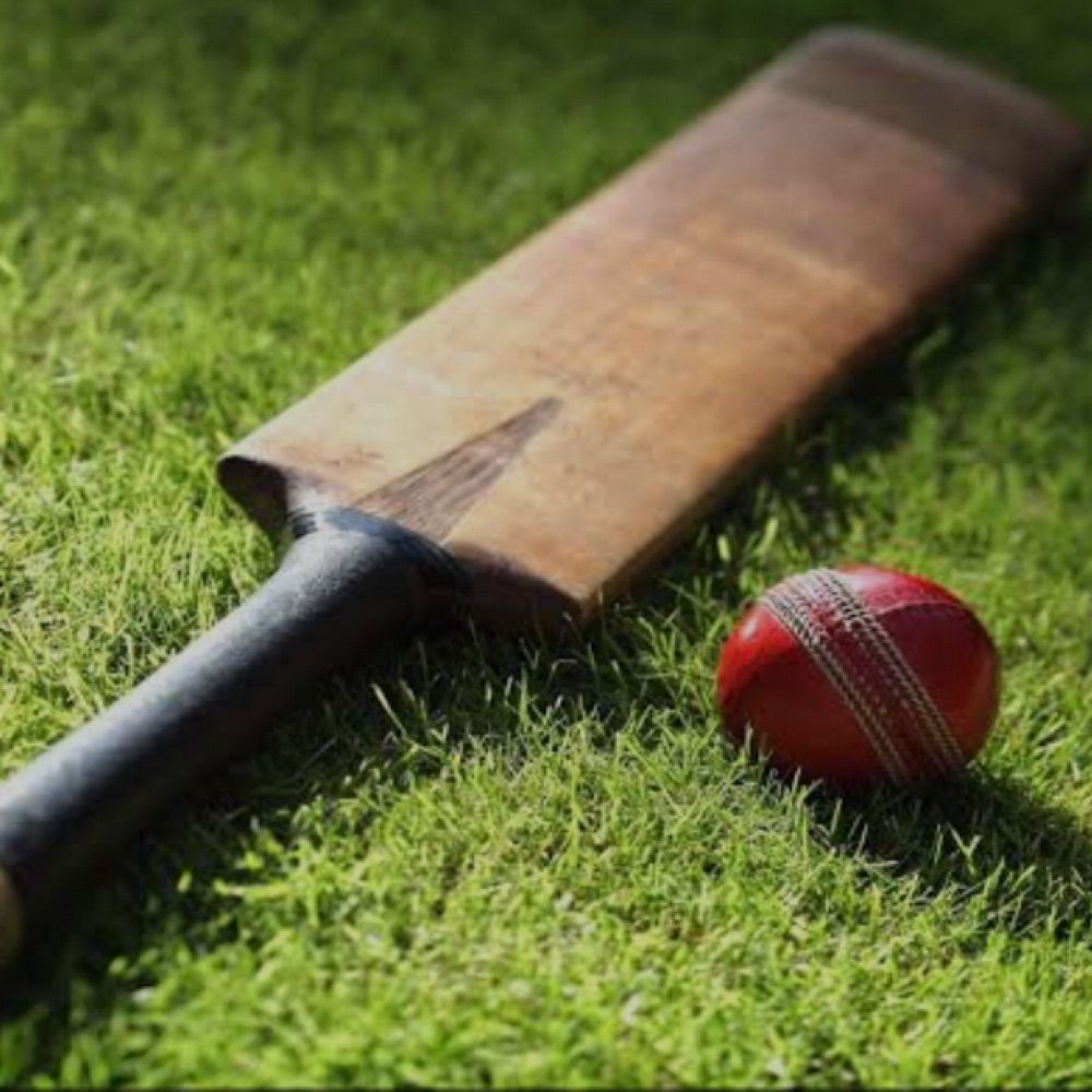 Niche Cricket Stats