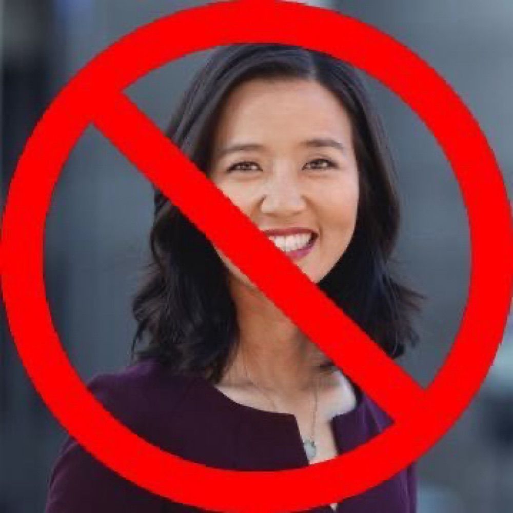 Bostonians Against Mayor Wu