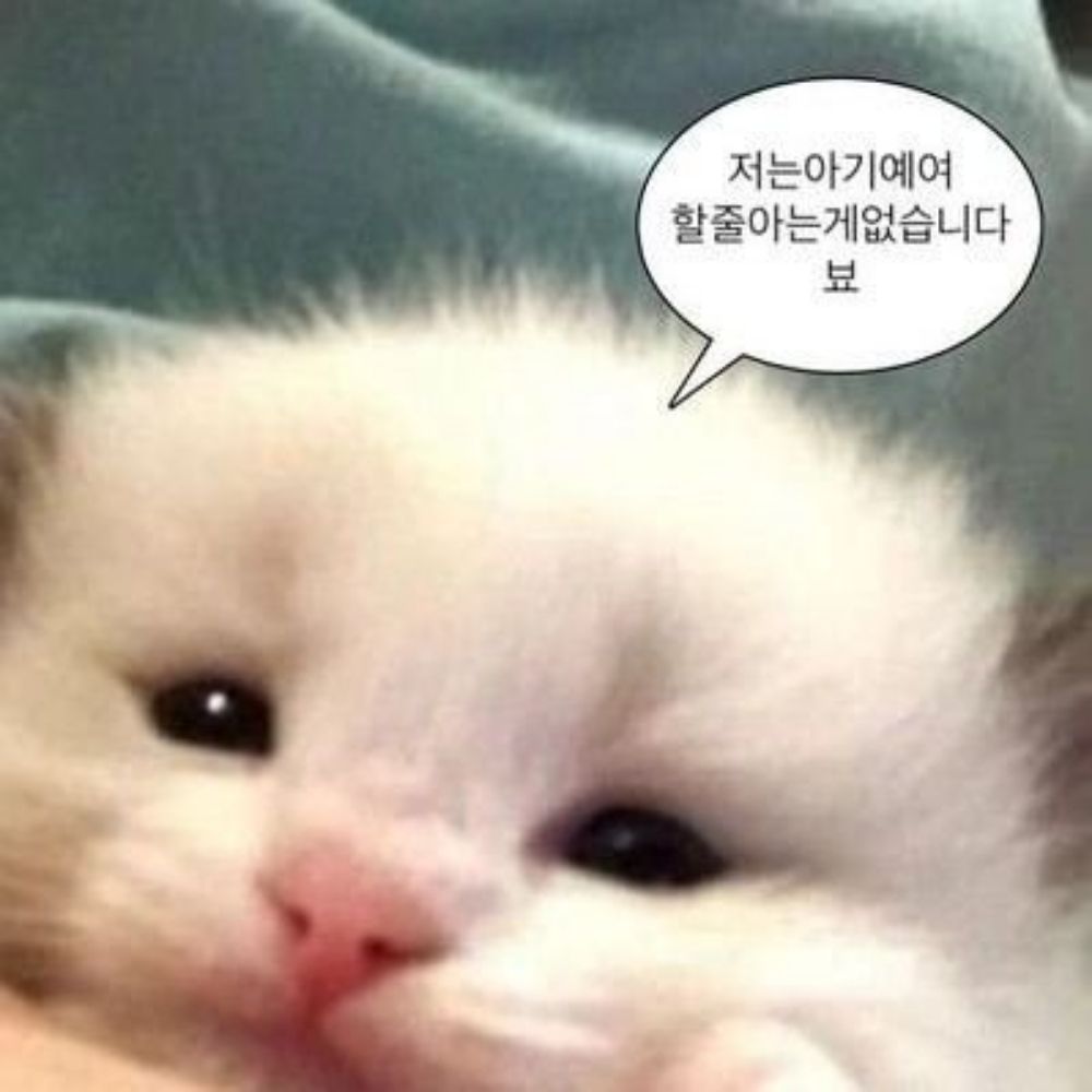 얌
