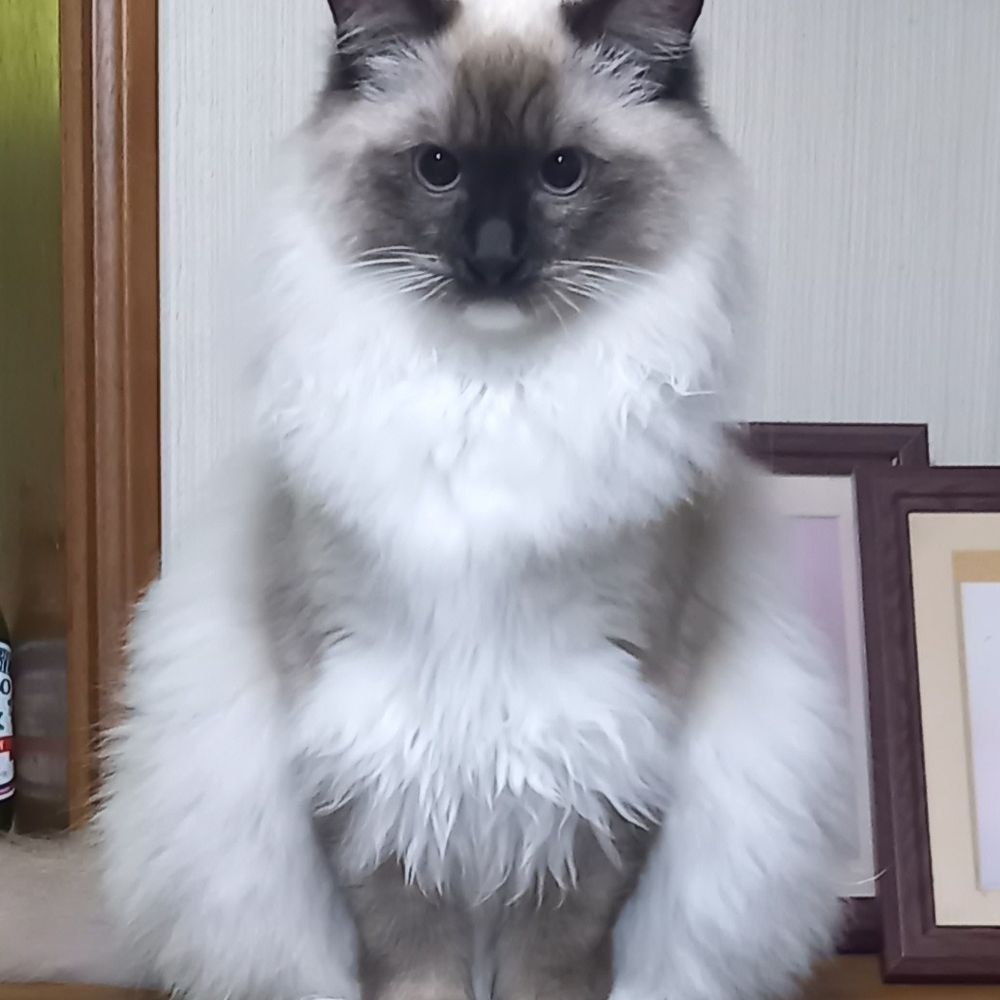 海奈