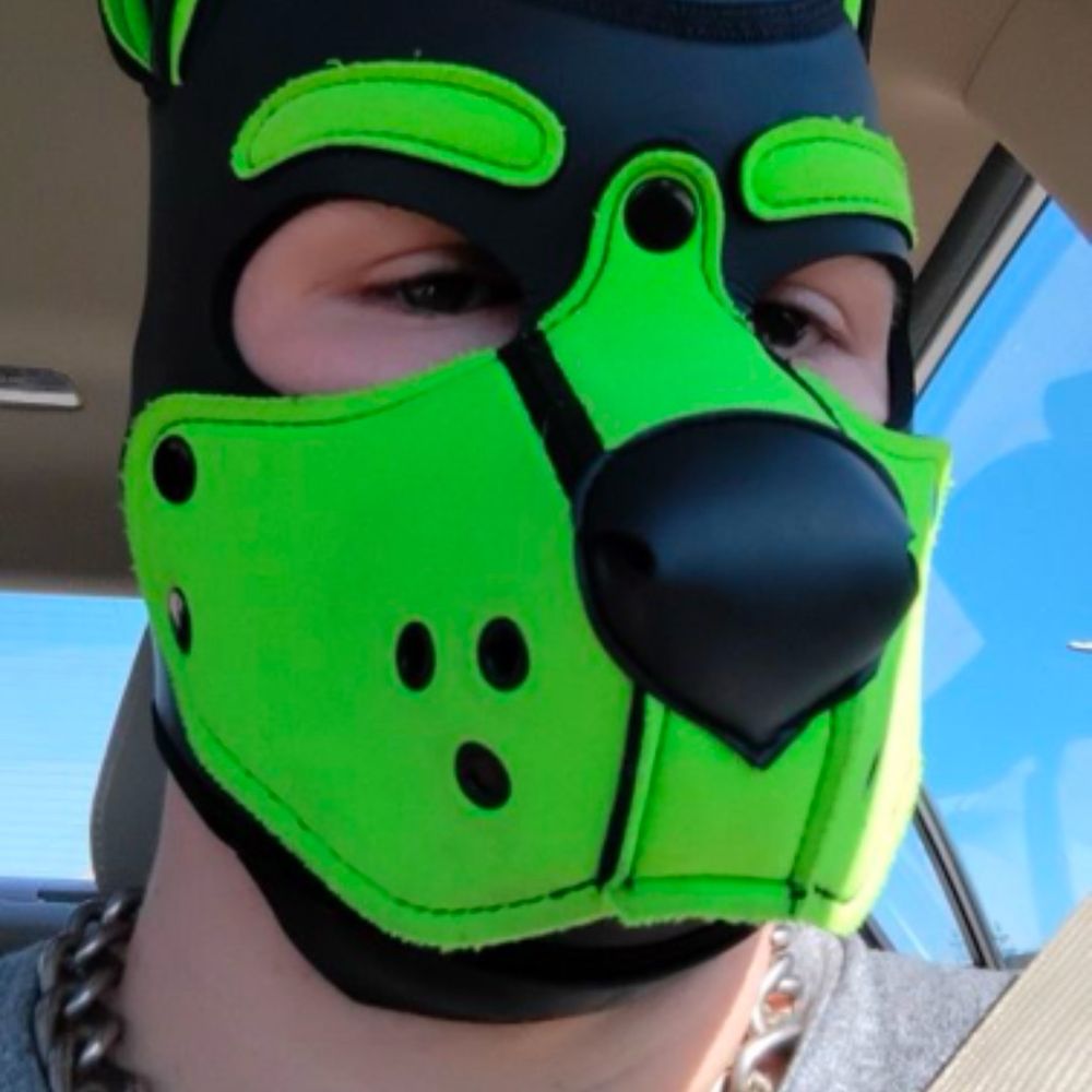 Pup Triggers