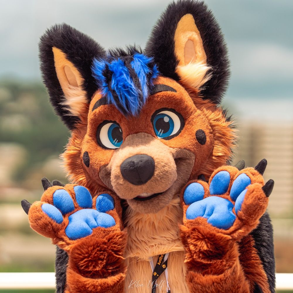 SonarShep