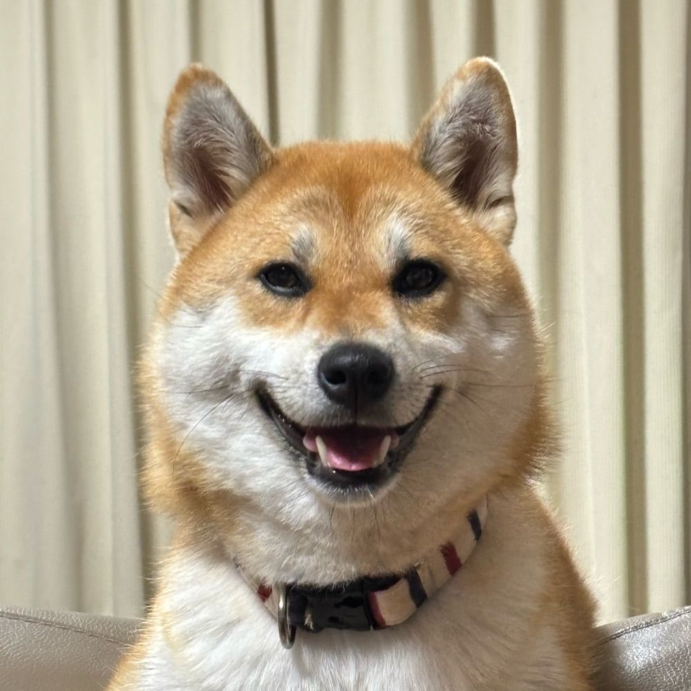 九