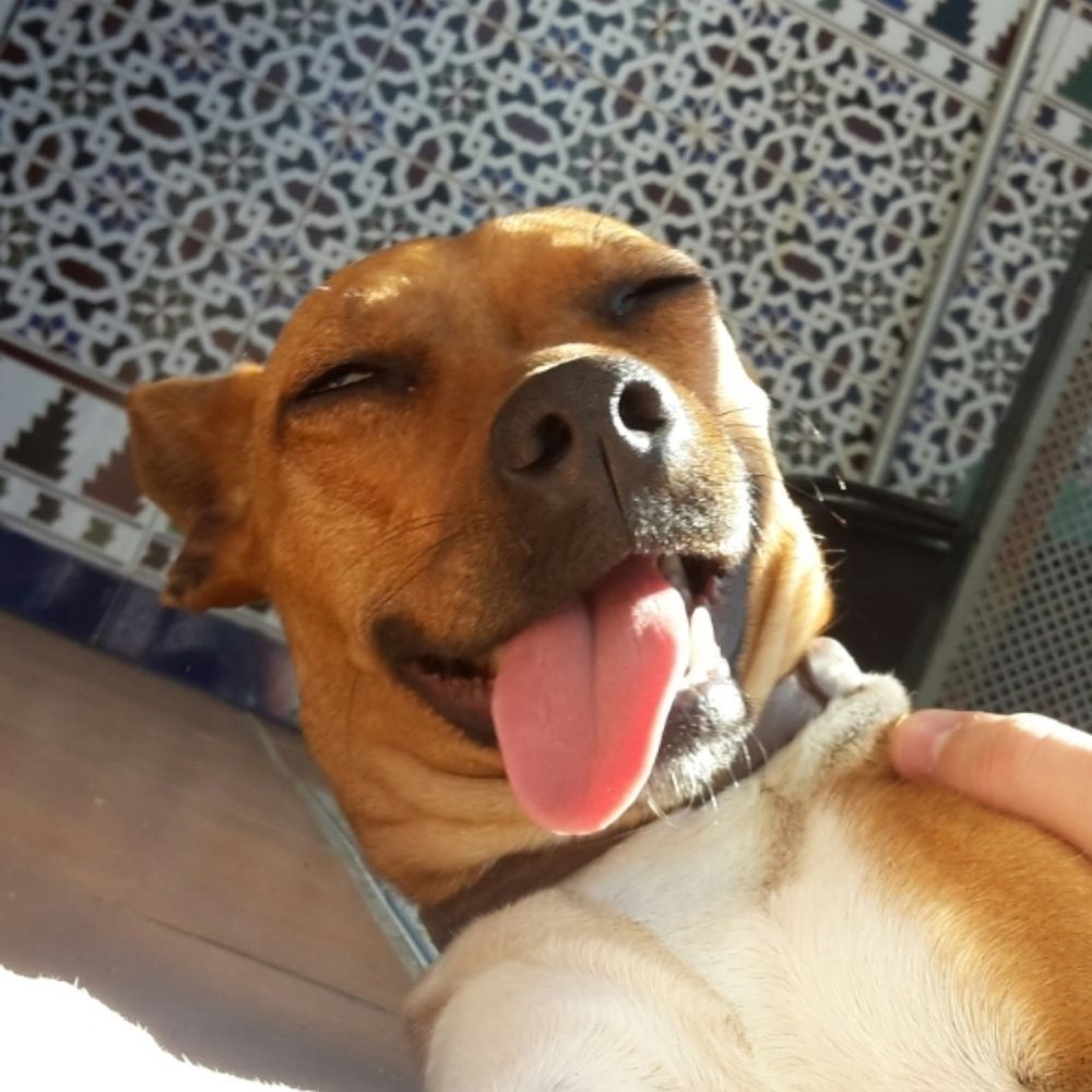 Juan