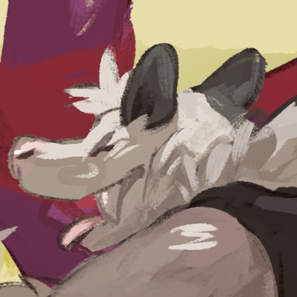Opossum with O-problems