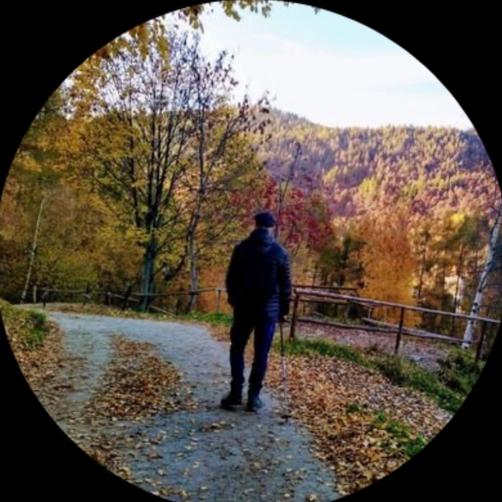 Mauro Mgn