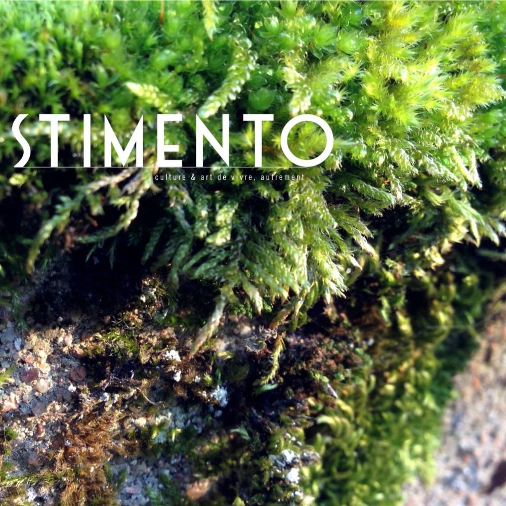 STIMENTO / www.stimento.fr
