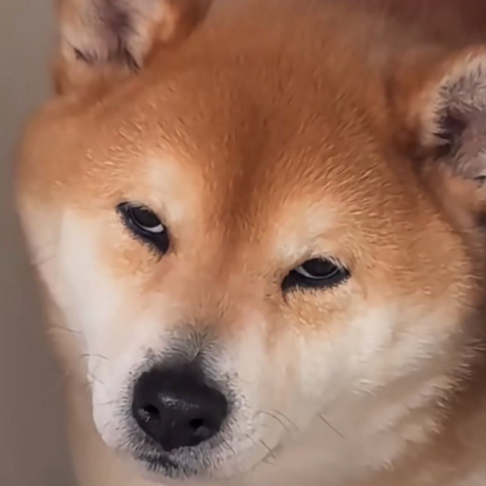 wy