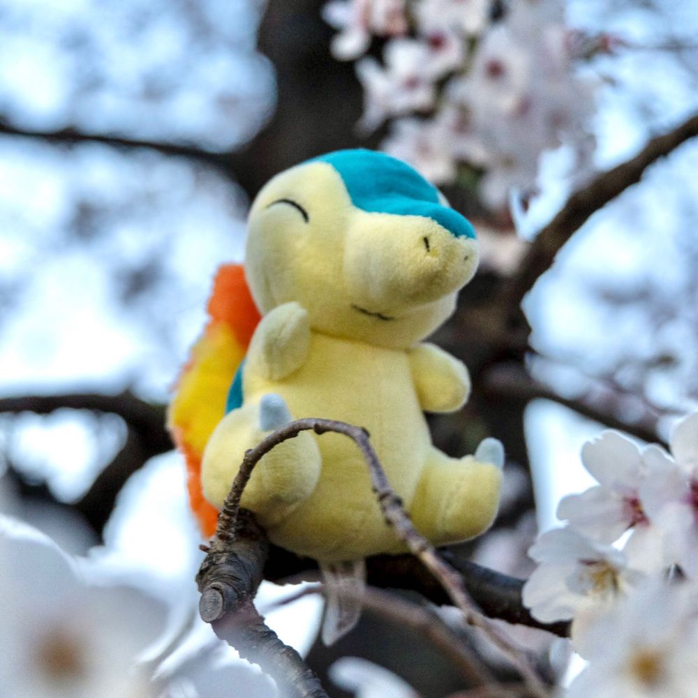 れも