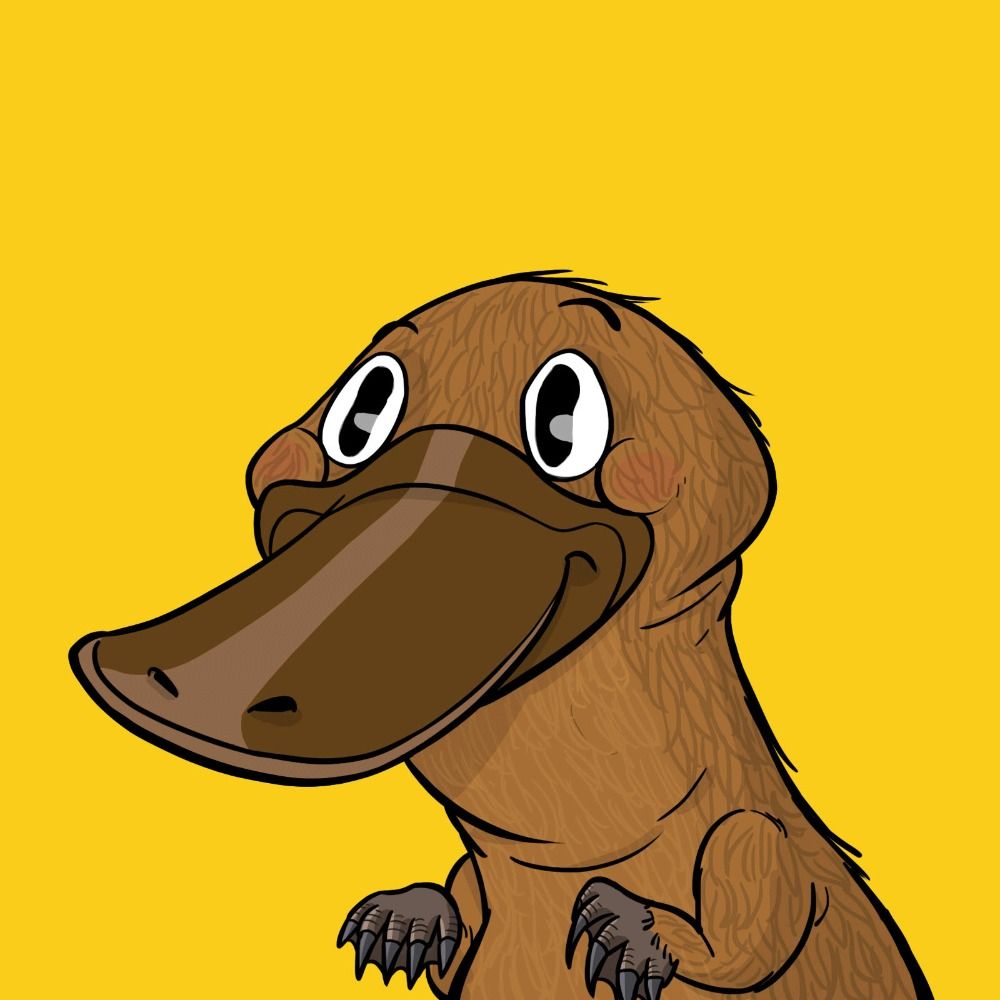 Funky Platypus