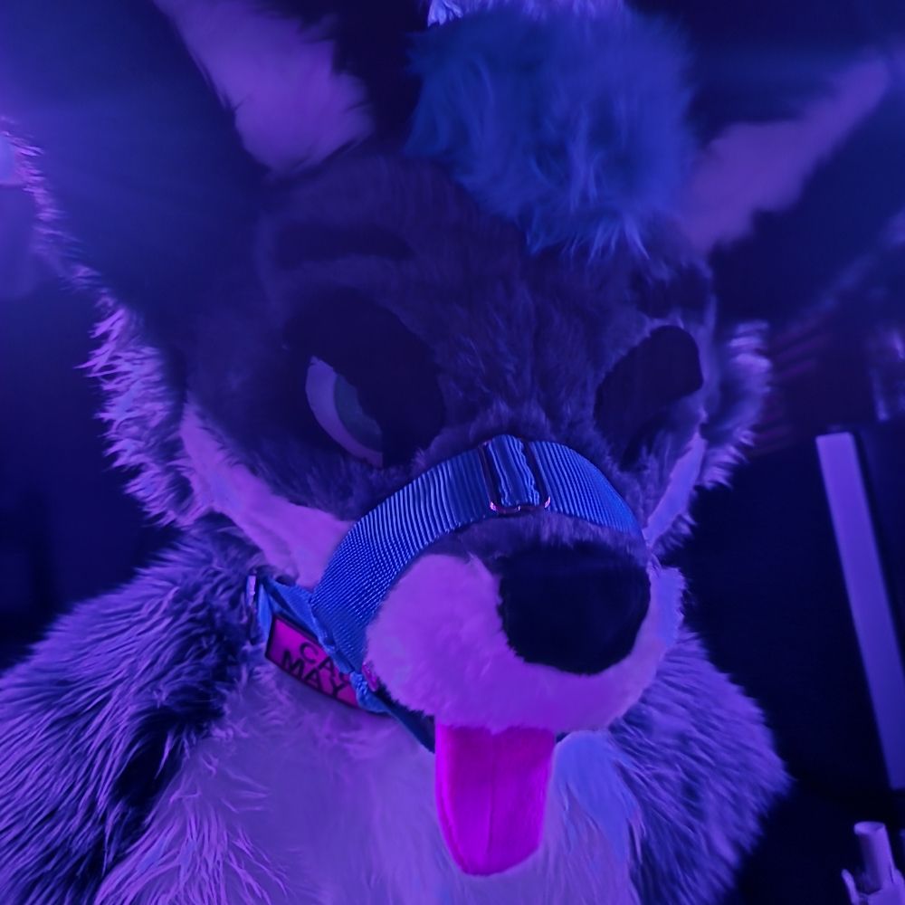IceyFoxa 🔜 ANE, TFF, FWA