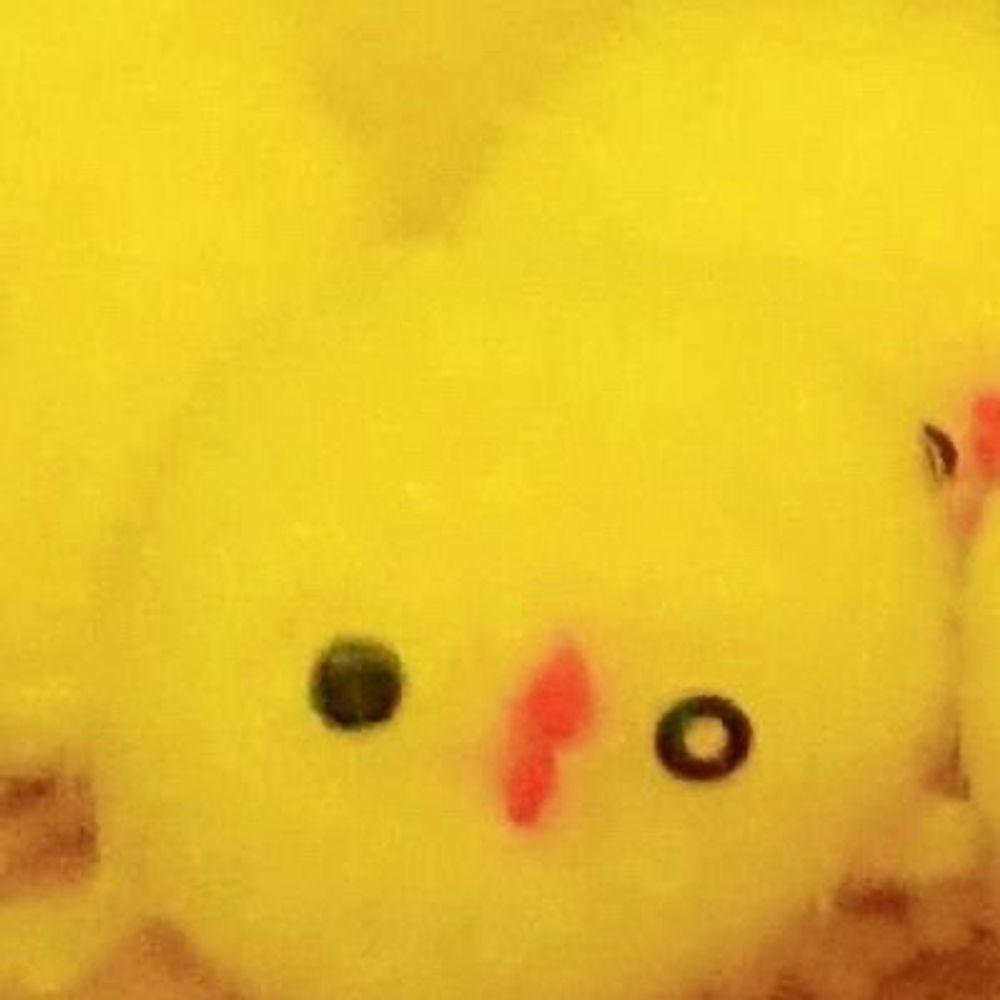 ふぁいる