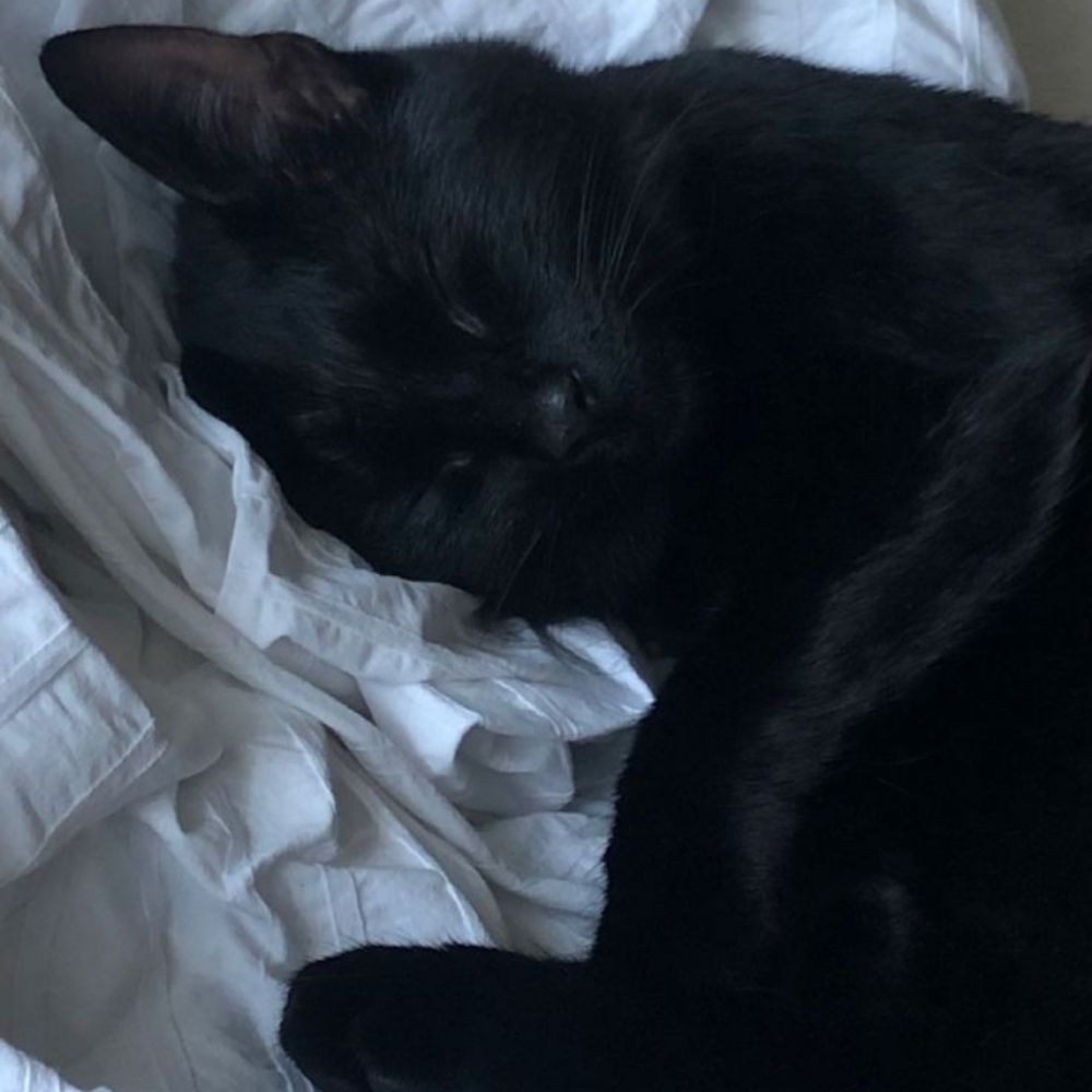 SonyaaaSleep