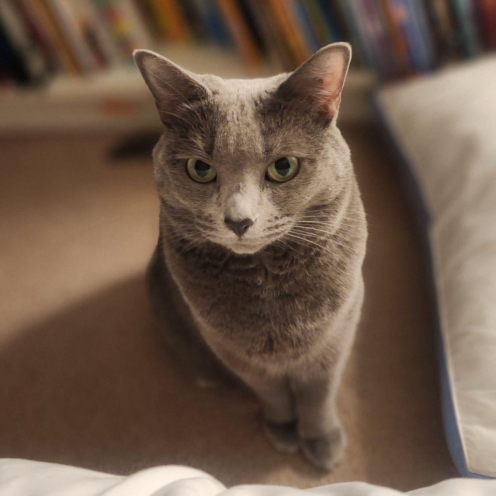 Cyrus