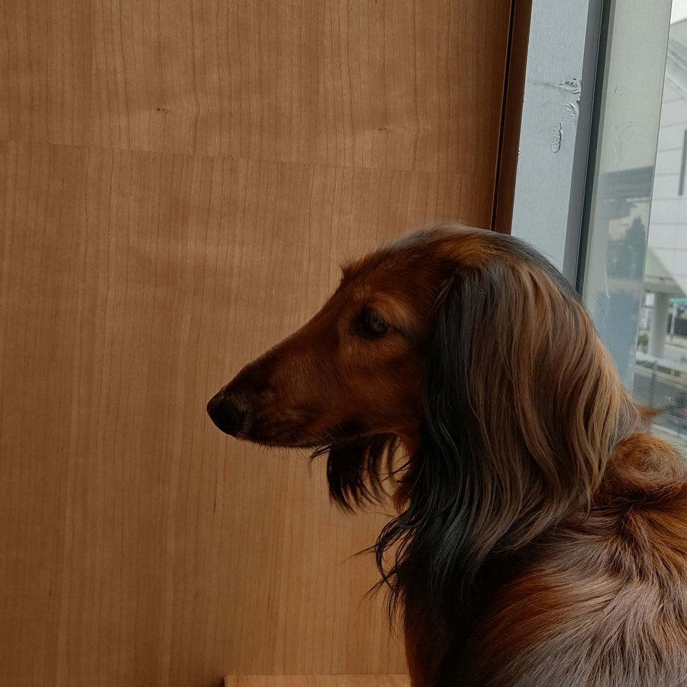 とおる