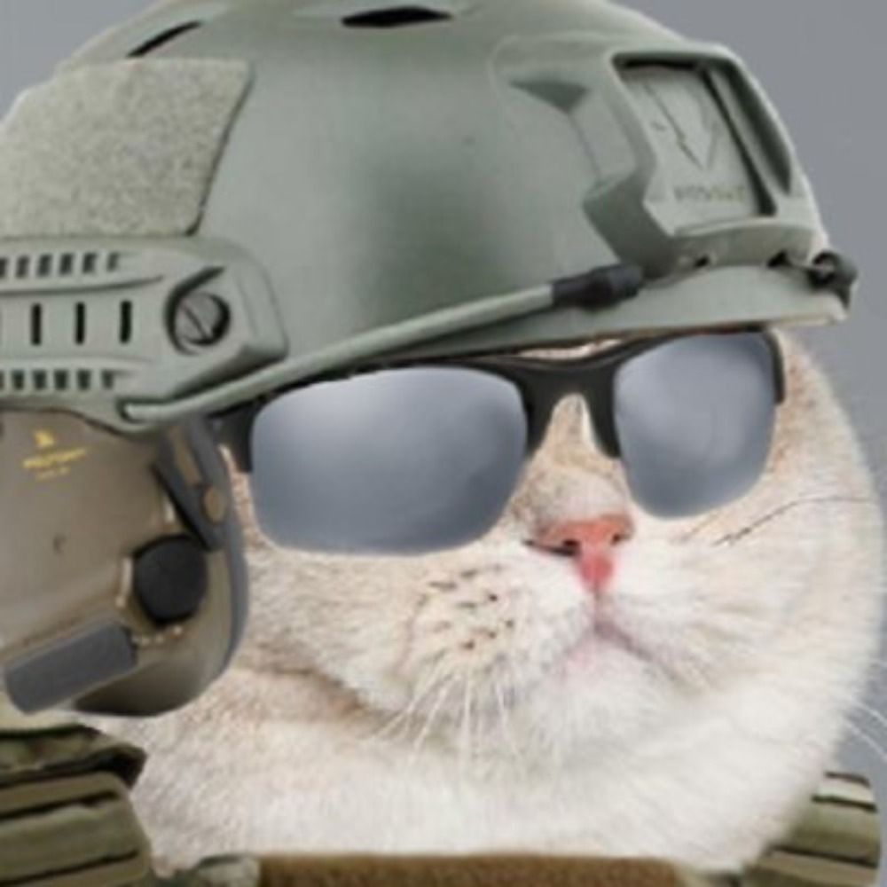 Total Meme Warfare
