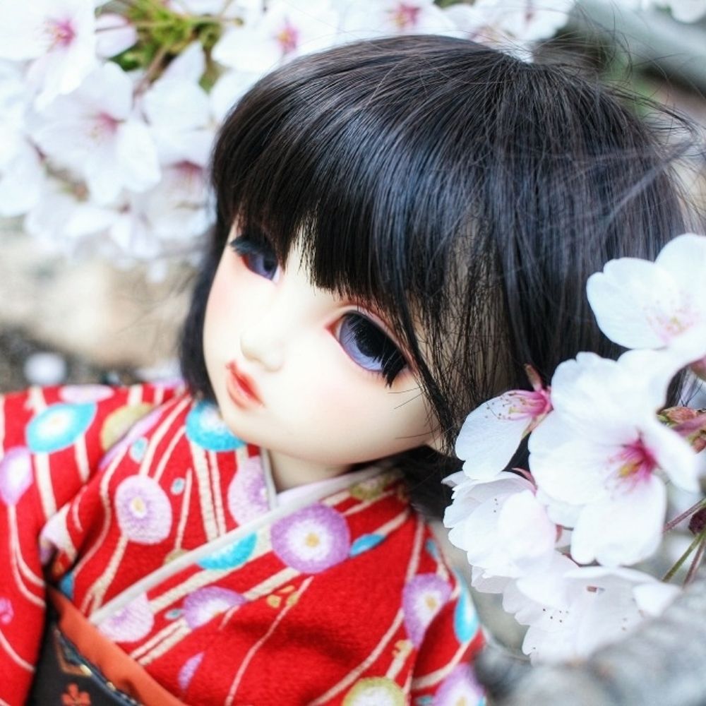 木鱗