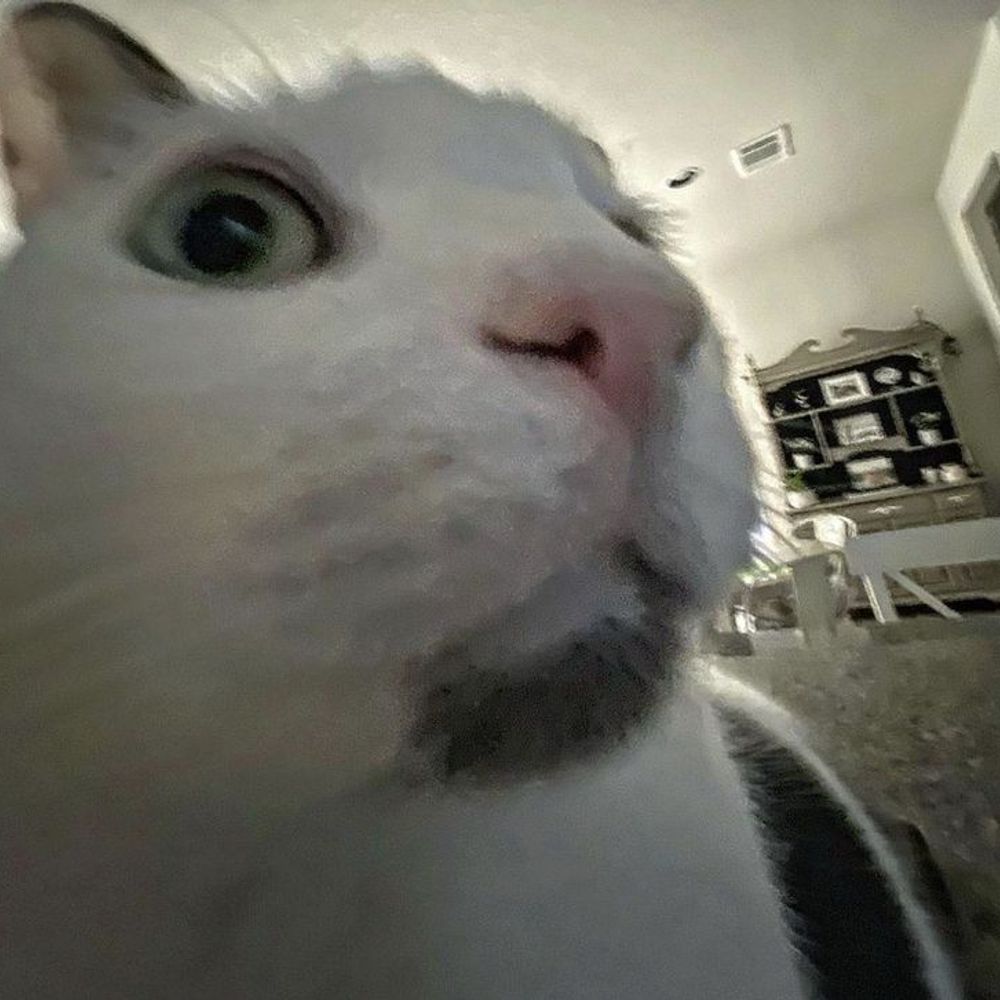 Evan