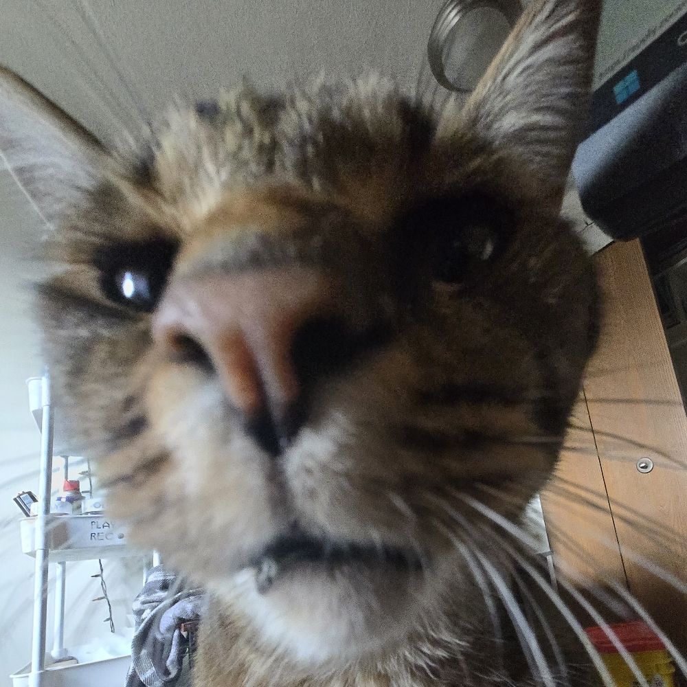 Eric