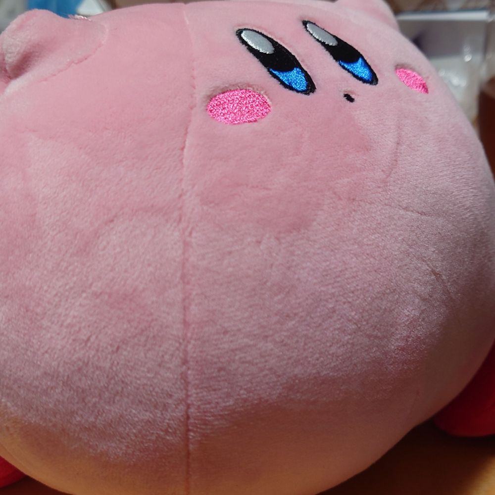 (ワドルディ好きの)てぃ
