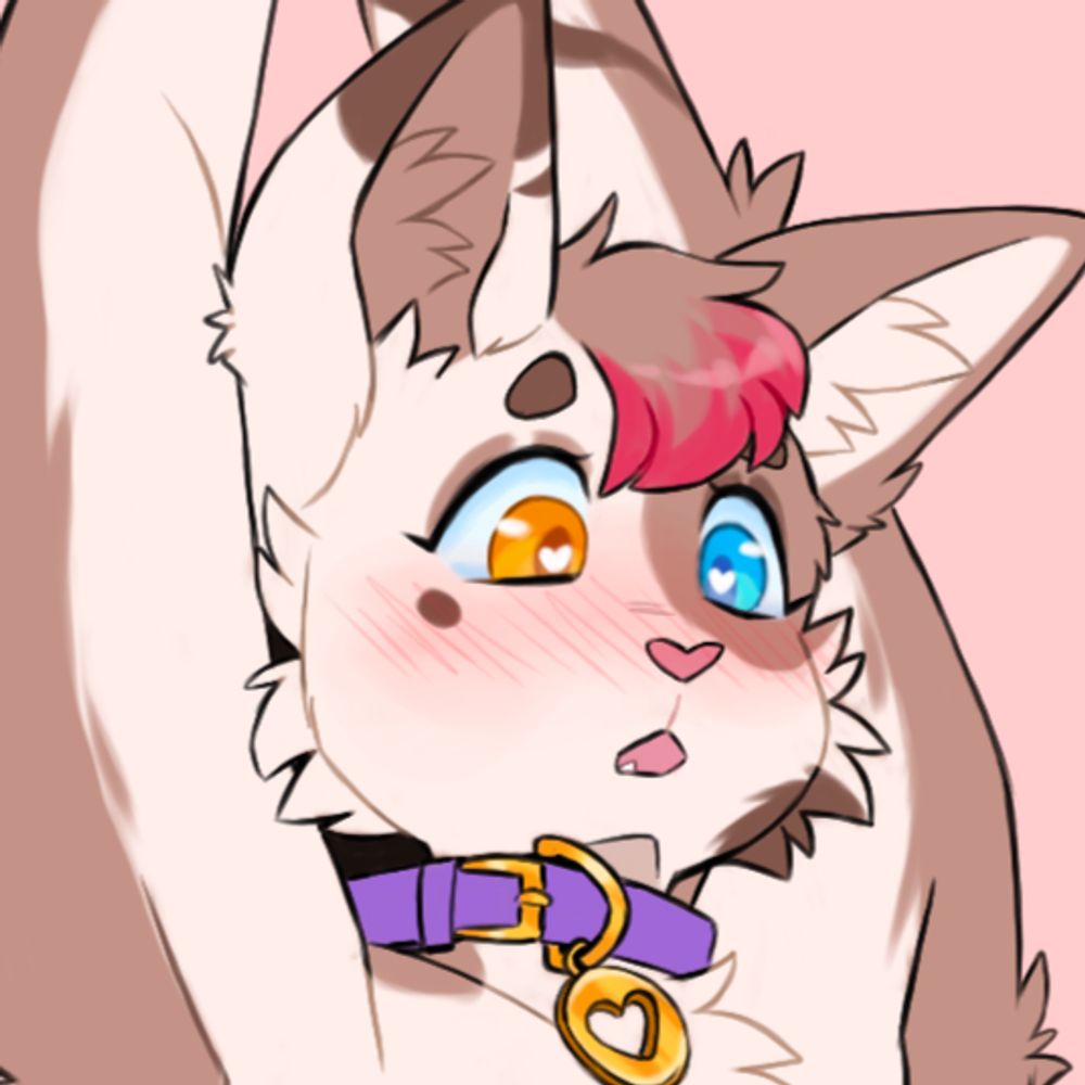 Riley/Wyatt Catto