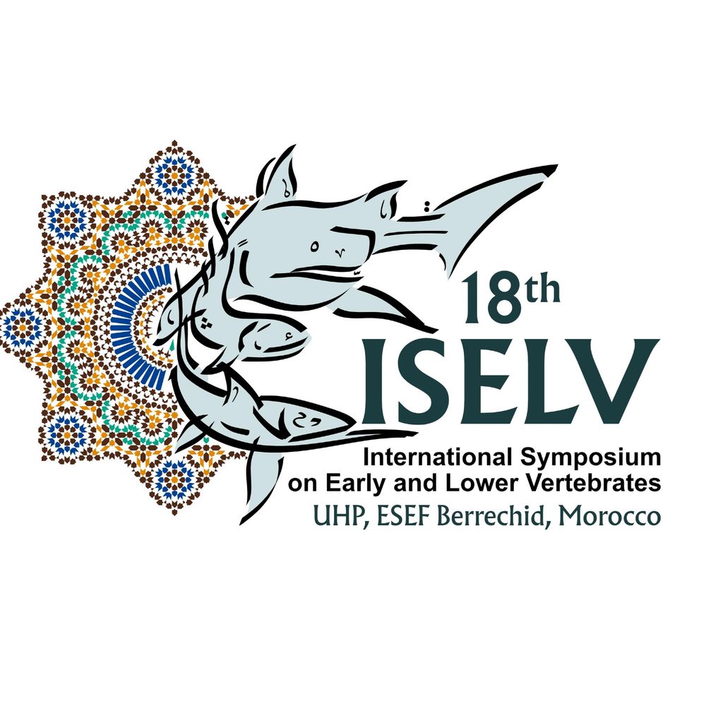18th ISELV