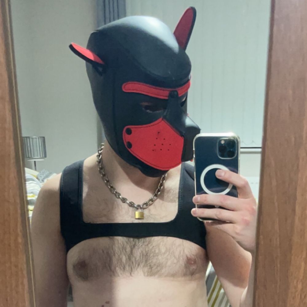 Puppy Skid