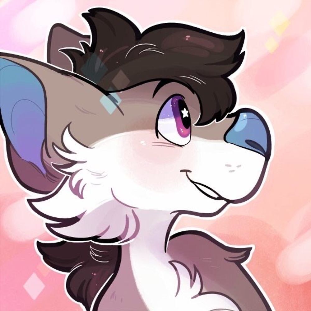 Stinky cat 🐈 @FWA