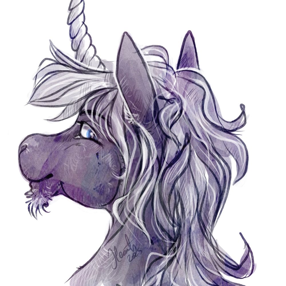 Felder Pony