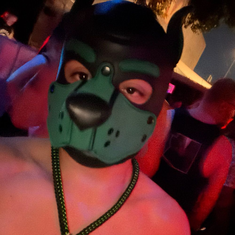 Pup Gizmo