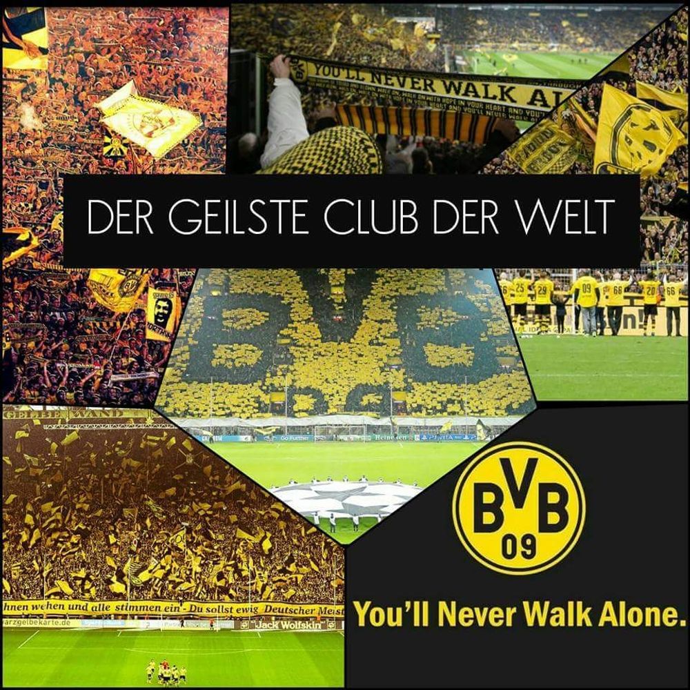bvbplummer 